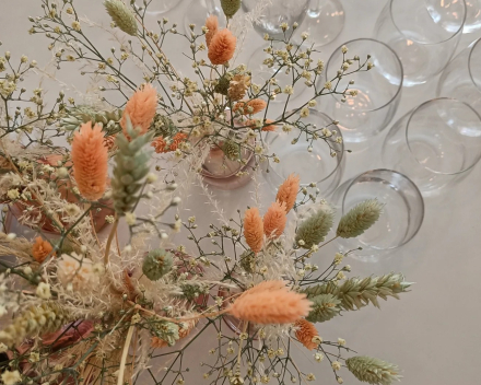Droogbloemen